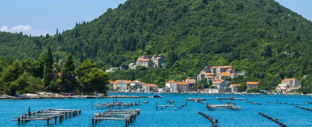 Vila Ruza Ston Εξωτερικό φωτογραφία